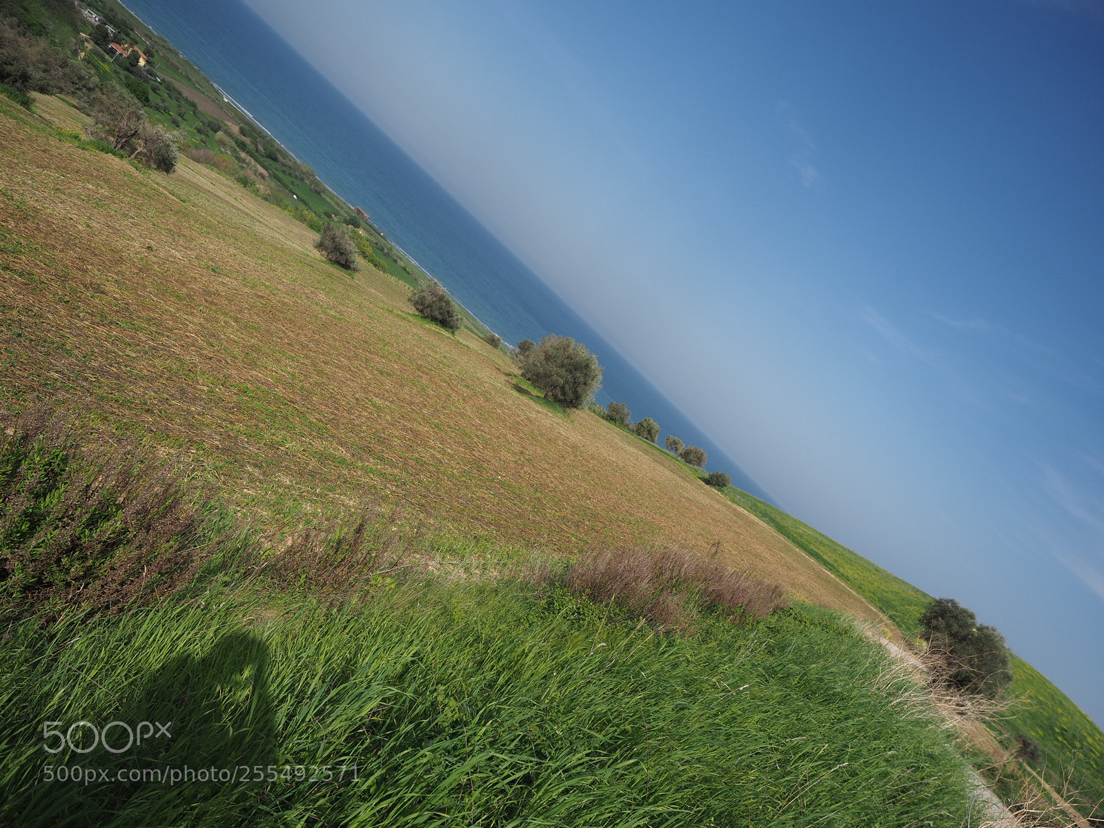 Olympus OM-D E-M1 Mark II sample photo. Land & me too photography
