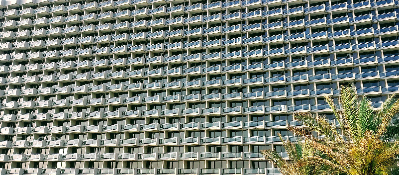 OnePlus A3003 sample photo. Hilton tel aviv photography