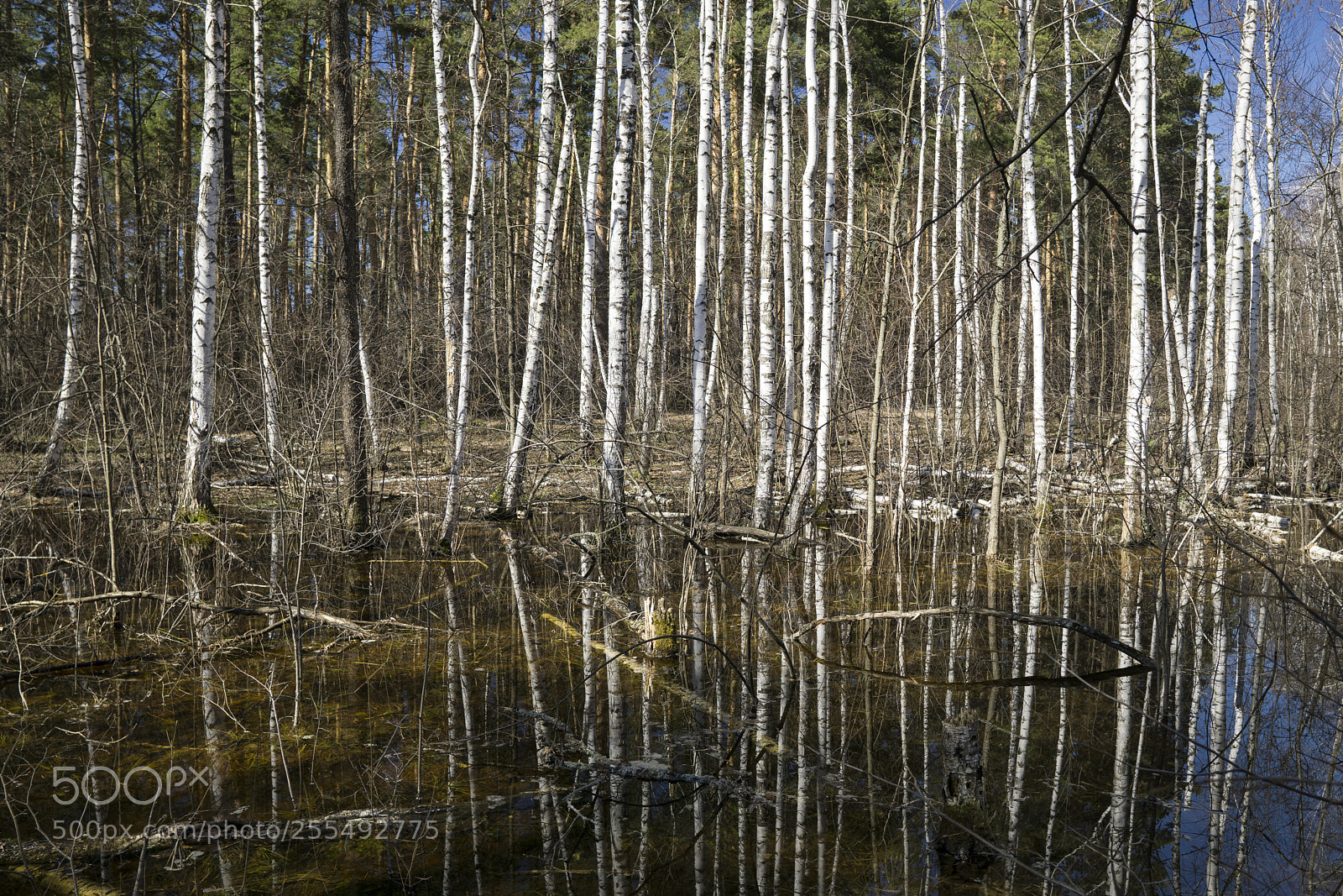 Sony a6000 sample photo. Reflection photography