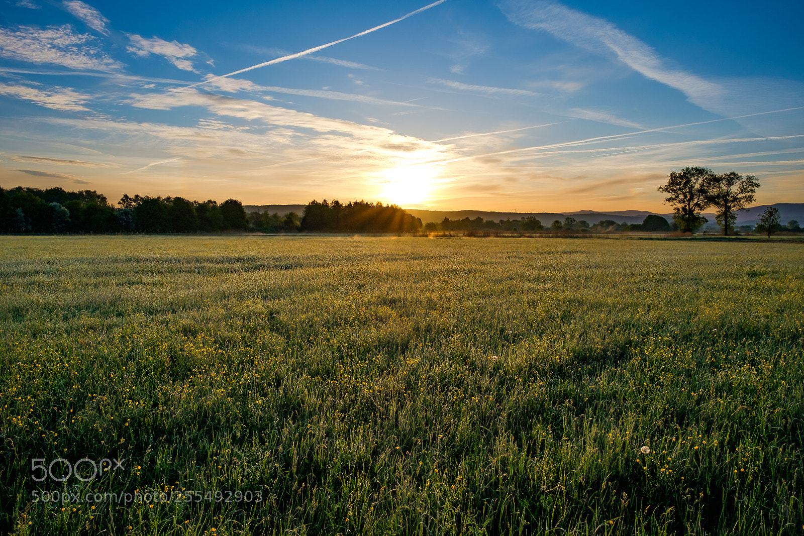 Fujifilm X-E2 sample photo. Morning view - reloaded photography