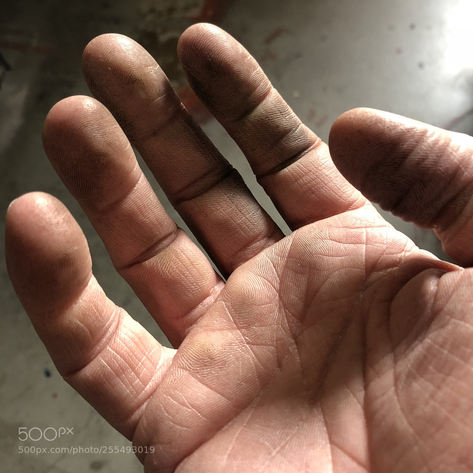 Apple iPhone 8 sample photo. Hand photography