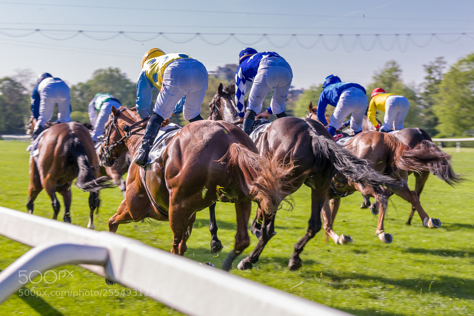 Nikon D850 sample photo. Race over photography