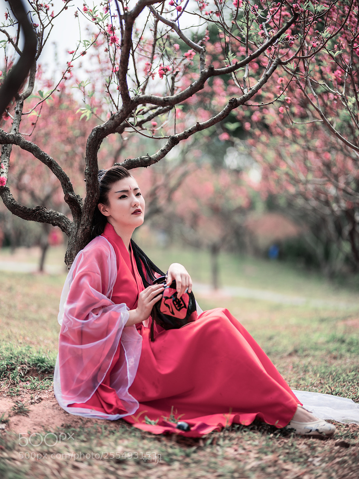 Fujifilm GFX 50S sample photo. 醉。桃花 photography