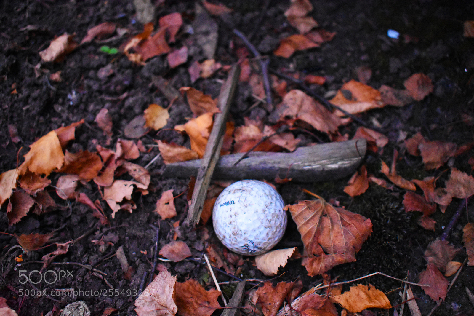 Nikon D3400 sample photo. Dropping the ball photography