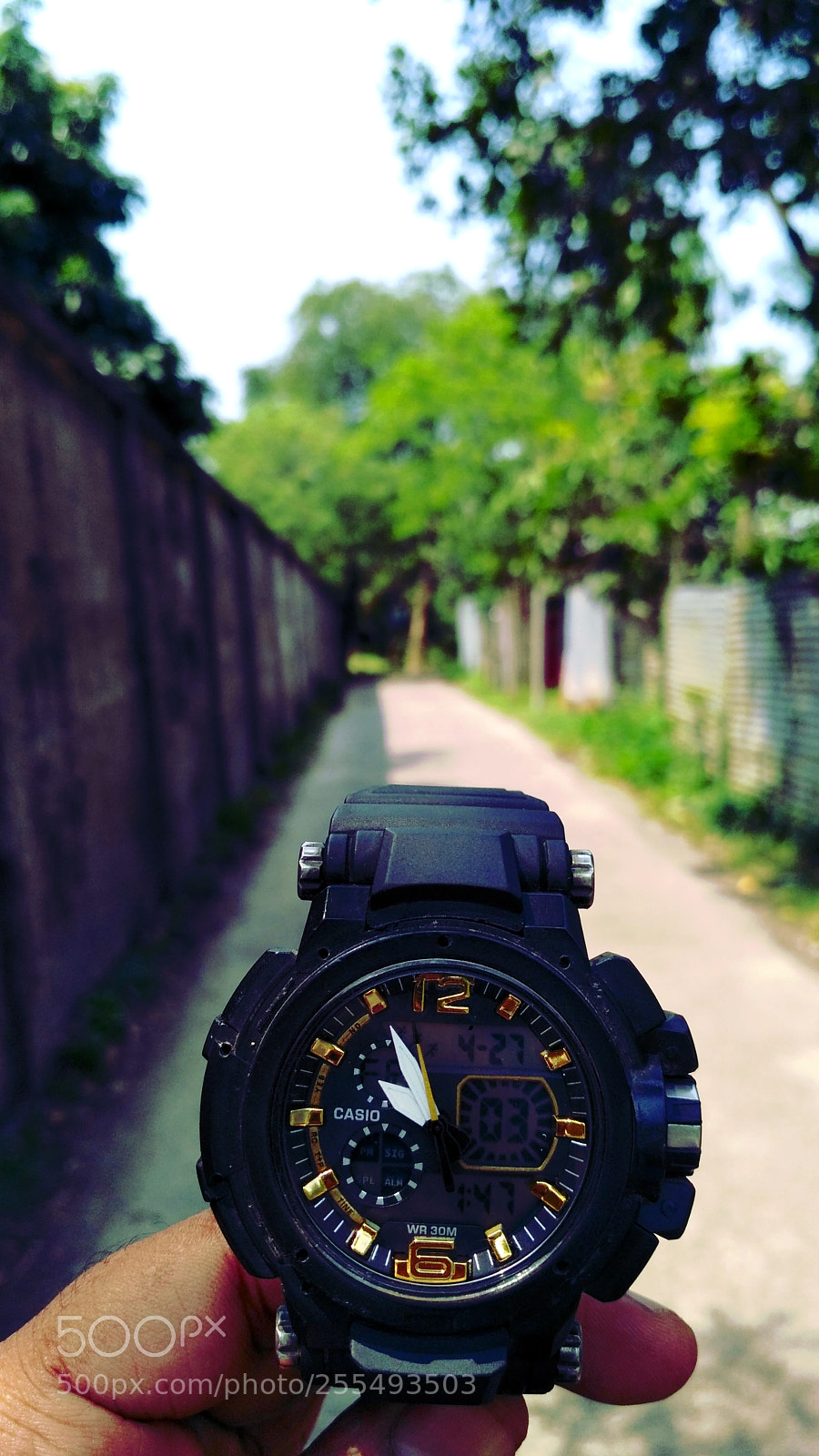 Xiaomi Redmi 3S sample photo. Time to meet way photography