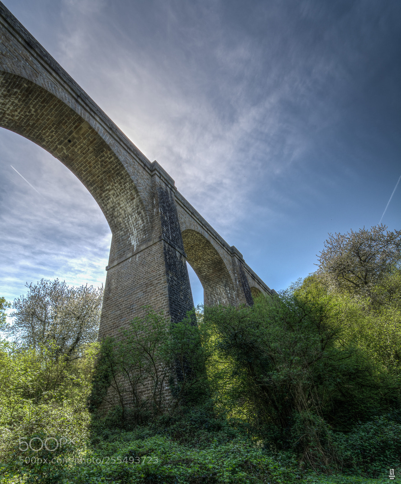 Nikon D7100 sample photo. The arch photography