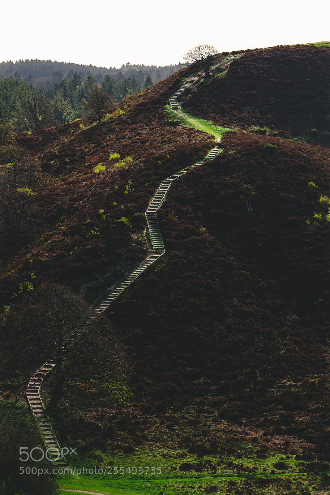 Canon EOS 7D sample photo. .path photography