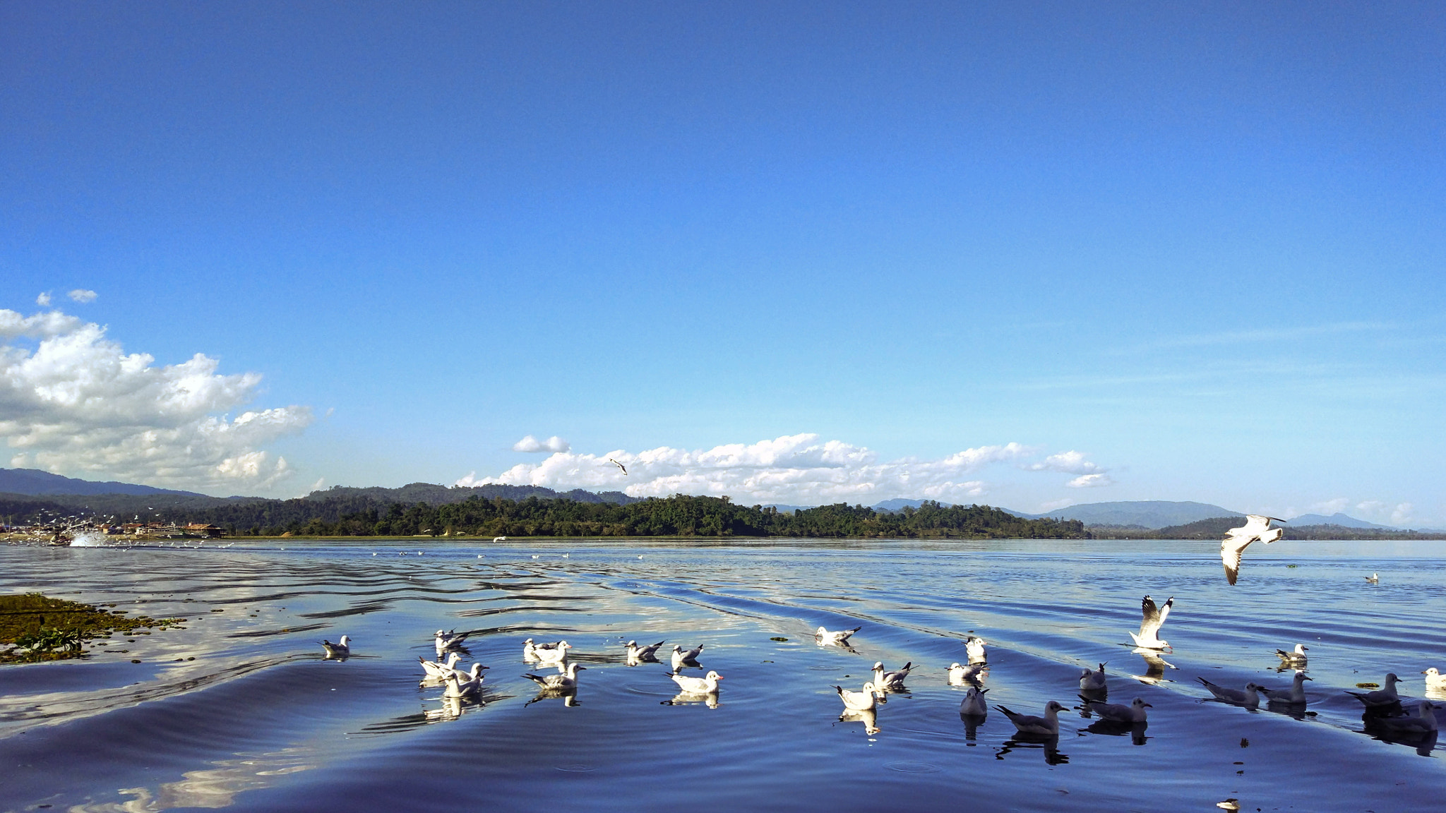 Xiaomi MI 5 sample photo. The lake photography