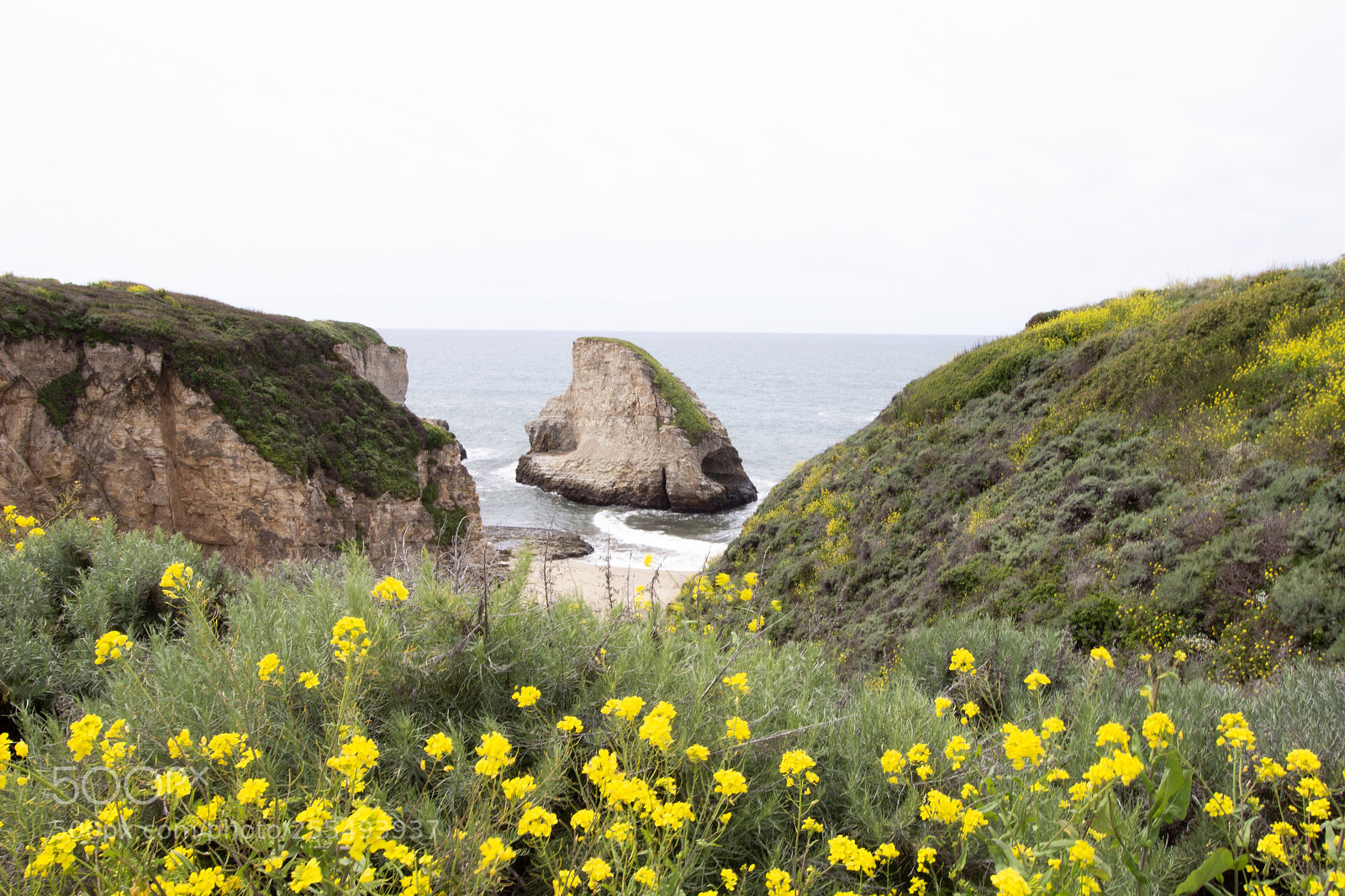 Canon EOS 600D (Rebel EOS T3i / EOS Kiss X5) sample photo. Shark fin cove photography