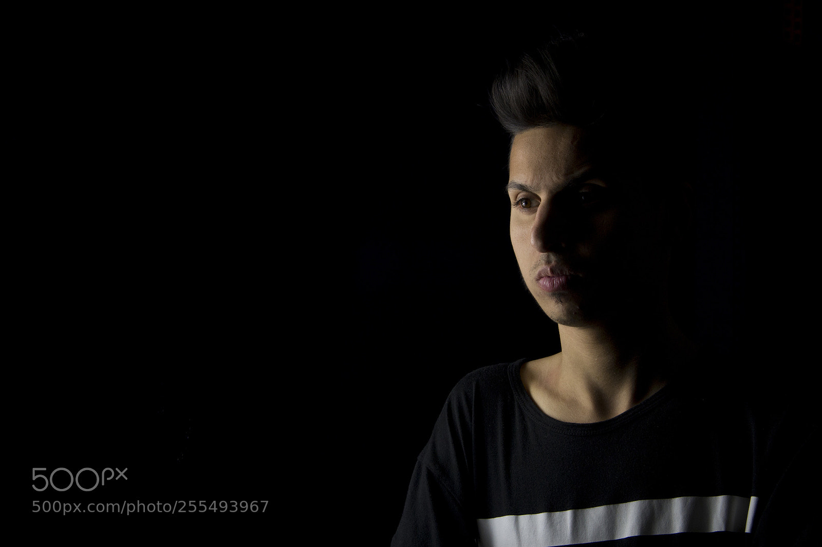 Canon EOS 60D sample photo. Black photography