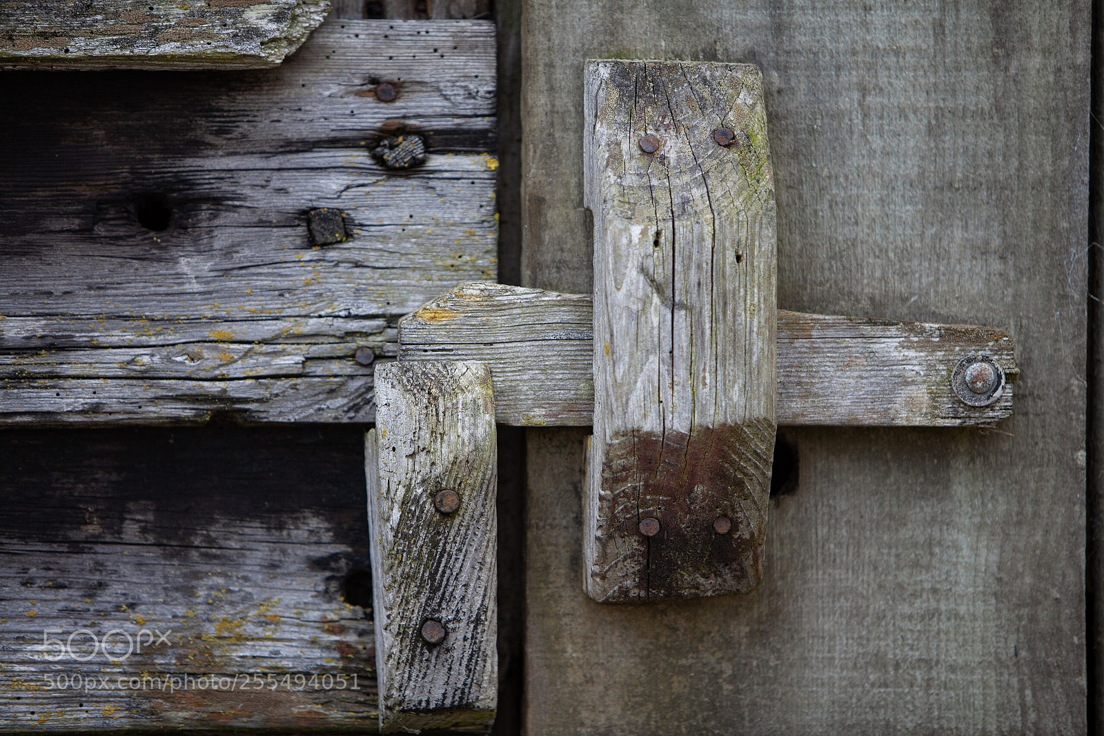 Canon EOS 5D Mark II sample photo. Untitled photography