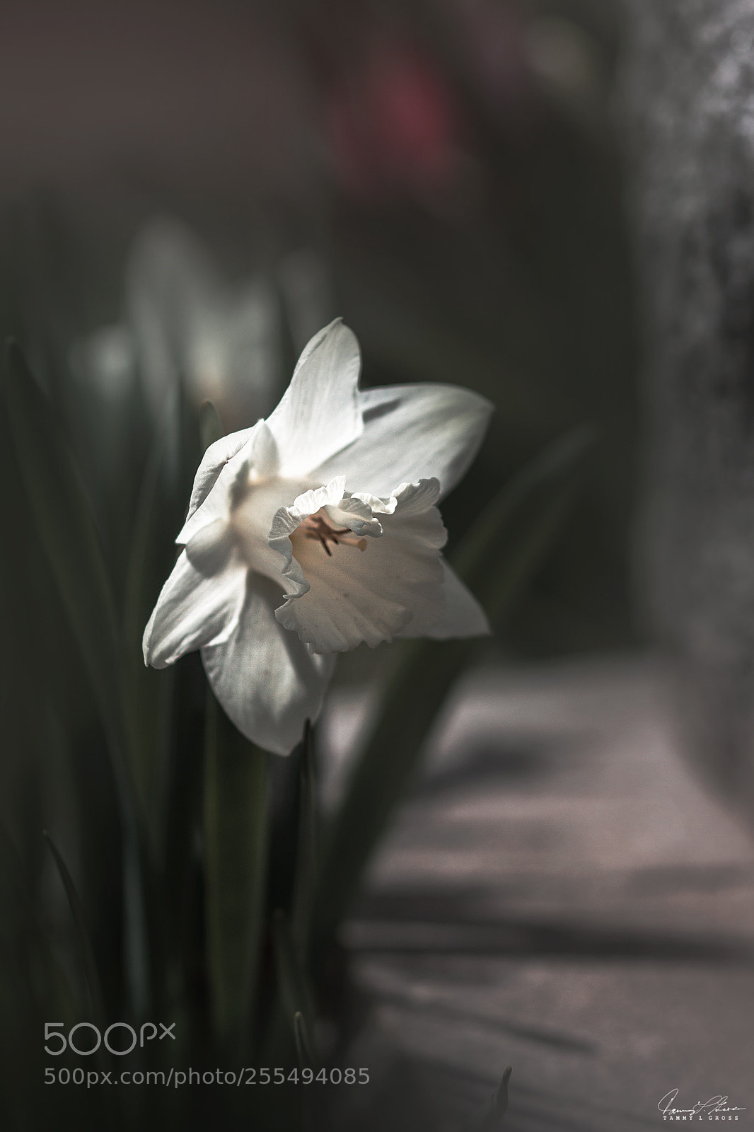Canon EOS 7D sample photo. I'm here photography
