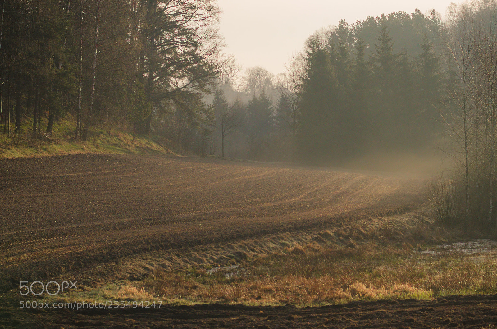 Nikon D7000 sample photo. Fields of Ługwałd photography