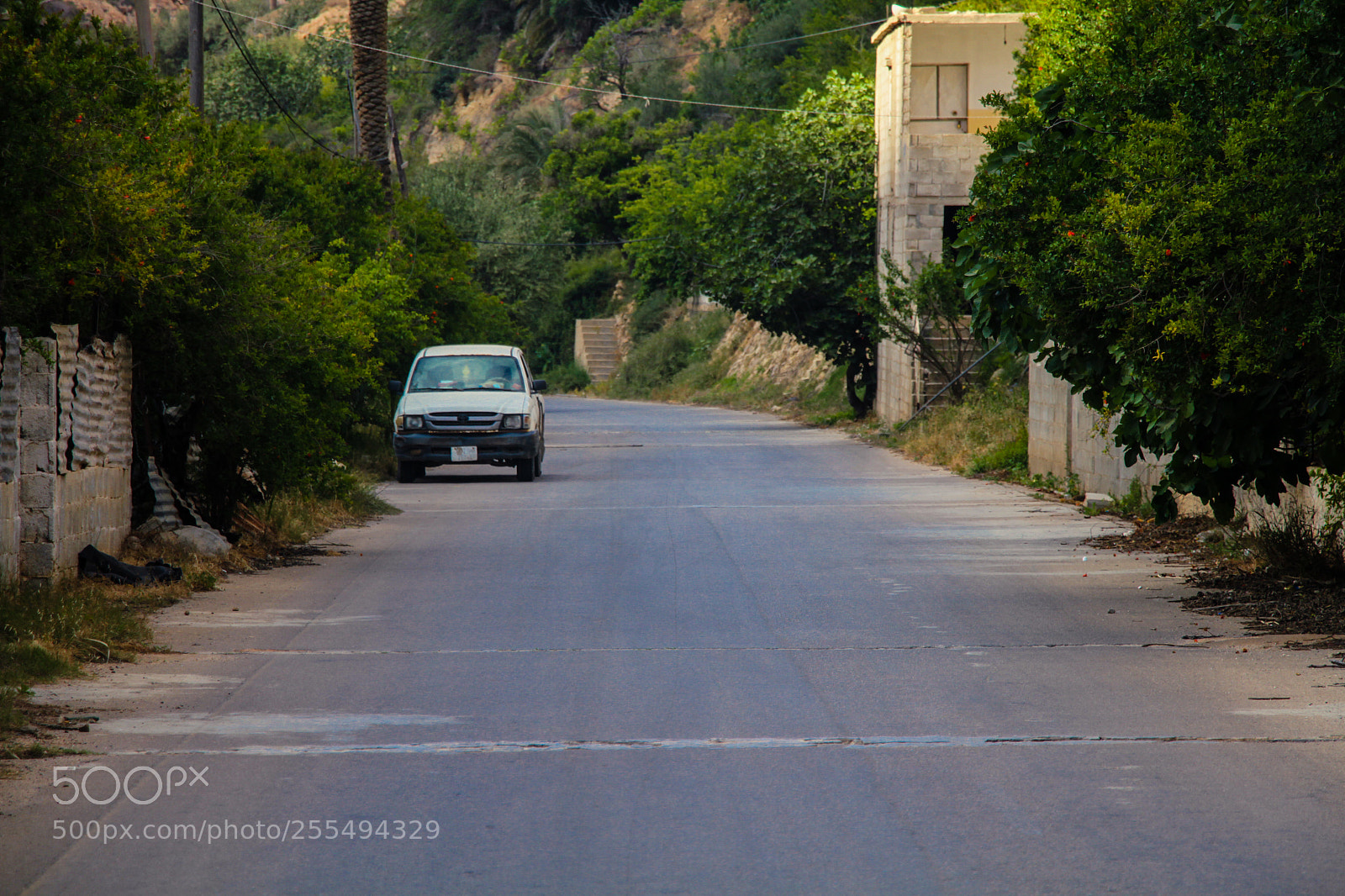 Canon EOS 7D sample photo. Silence photography
