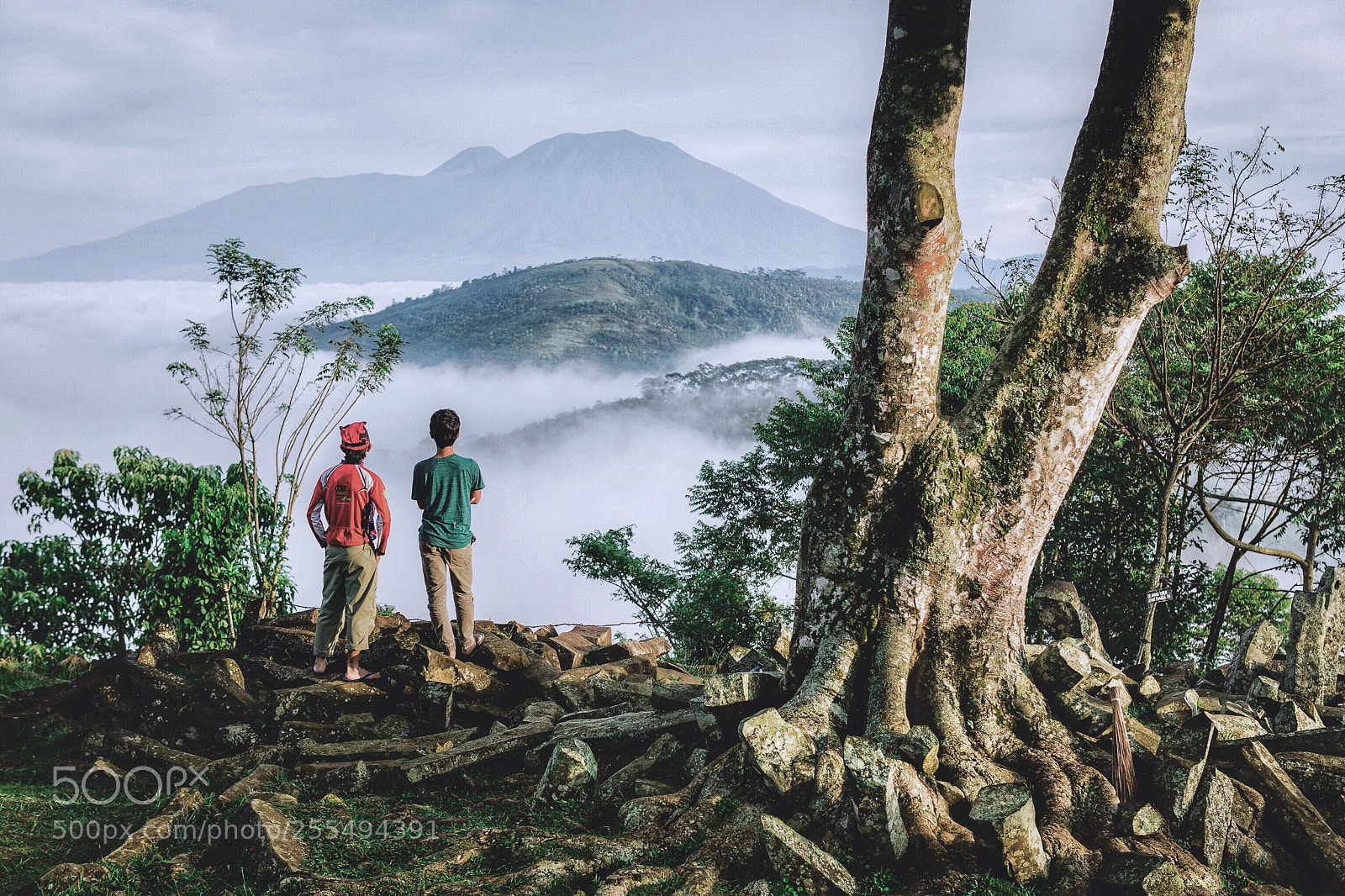 Sony a6000 sample photo. Welcoming morning at gunung photography