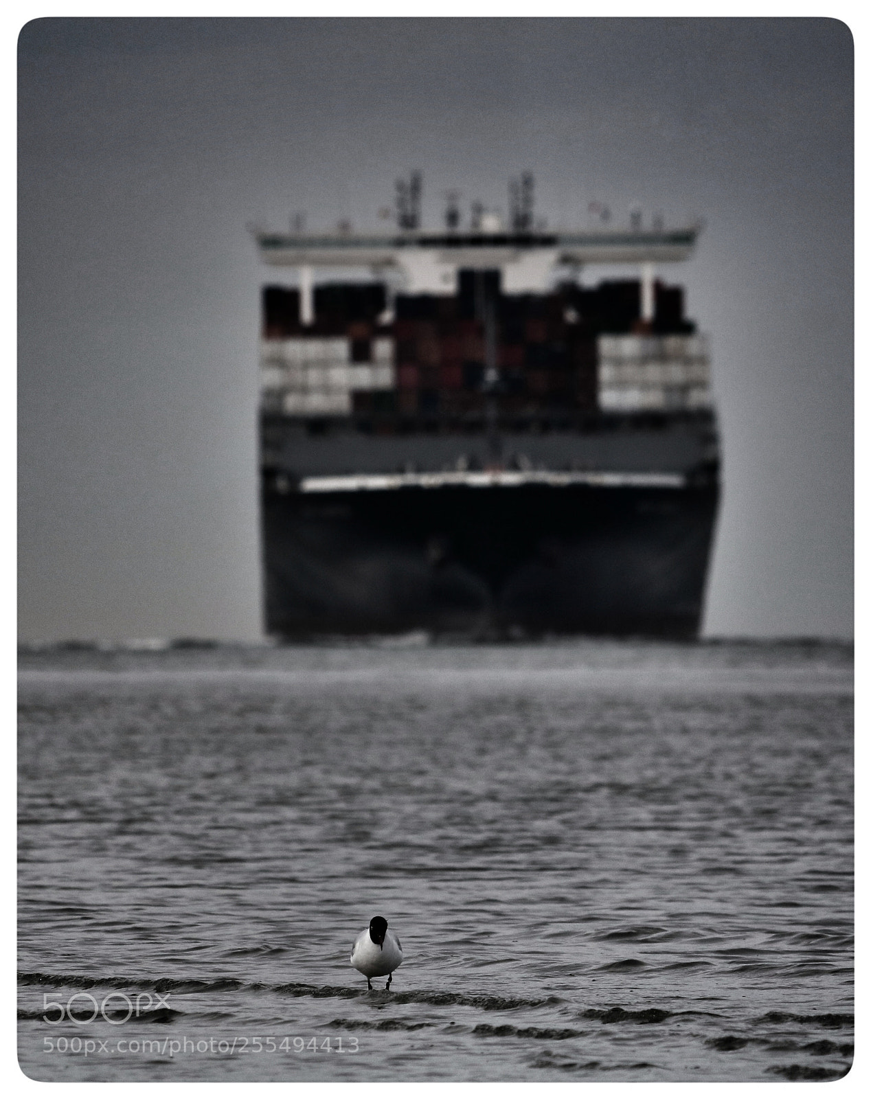 Canon EOS 750D (EOS Rebel T6i / EOS Kiss X8i) sample photo. Terneuzen photography