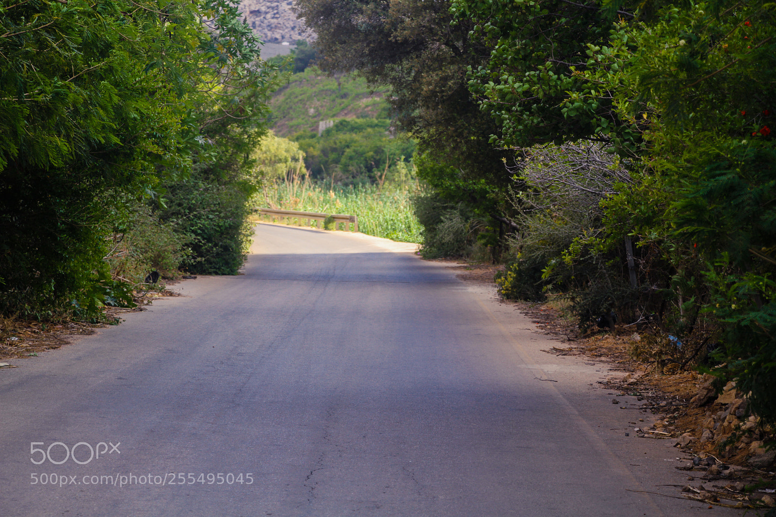 Canon EOS 7D sample photo. End of the road photography