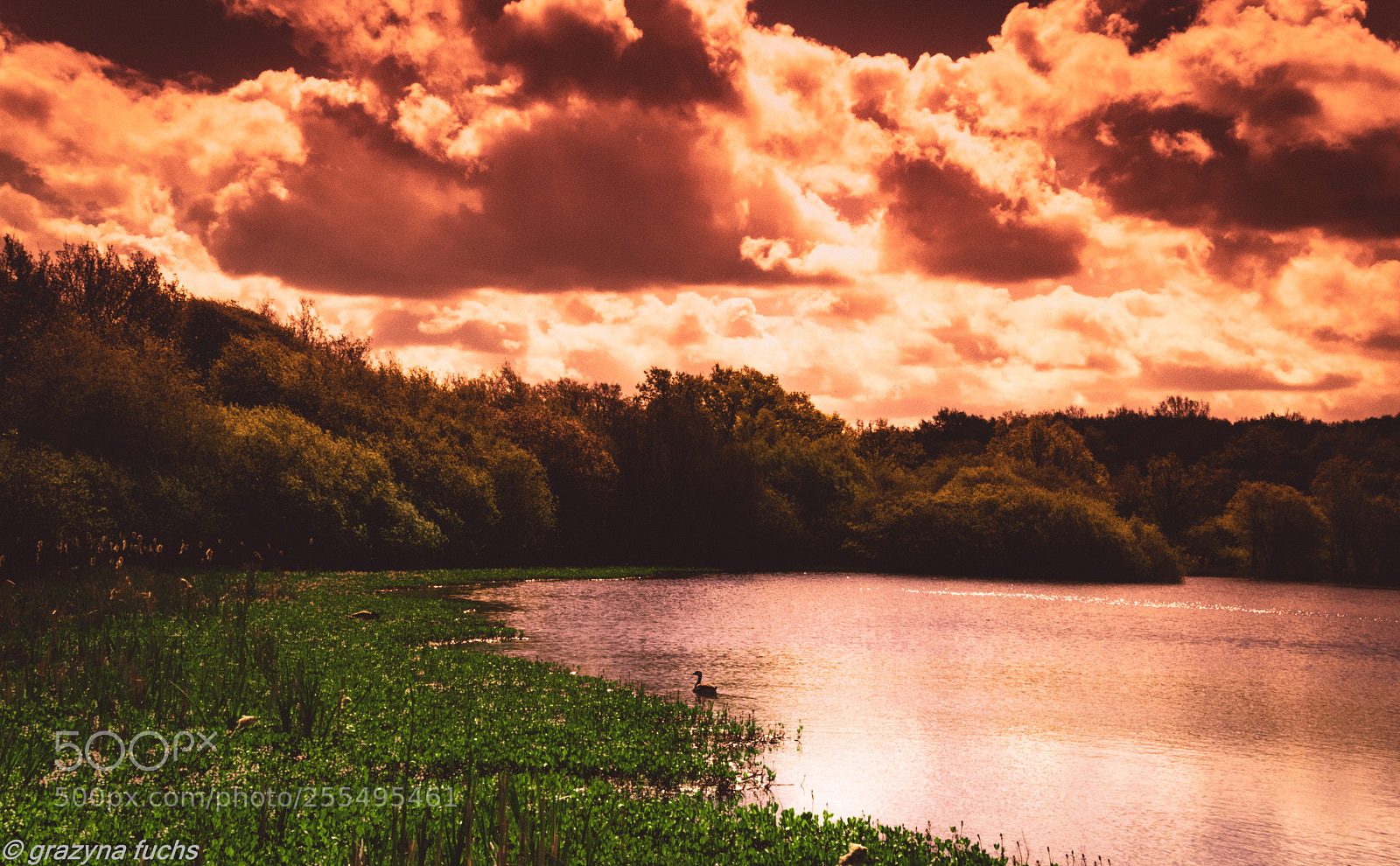 Nikon D3300 sample photo. Not every lake dreams photography