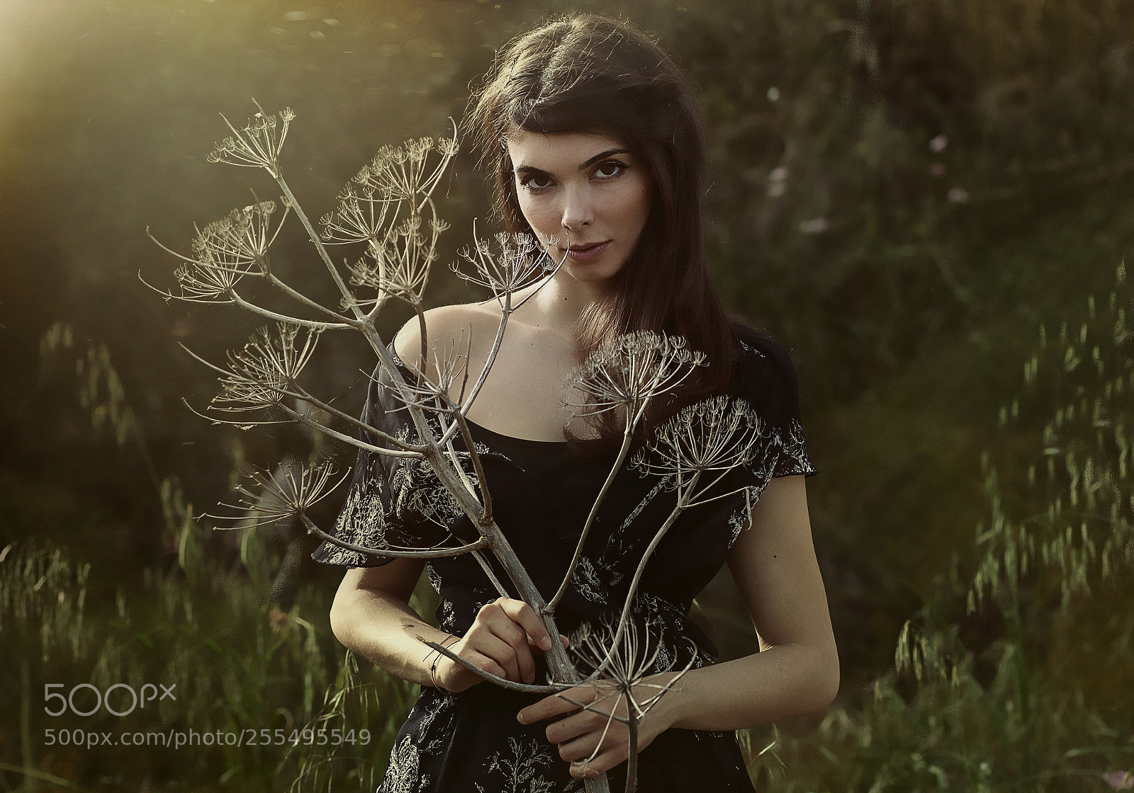 Canon EOS 5D Mark II sample photo. Mni photography