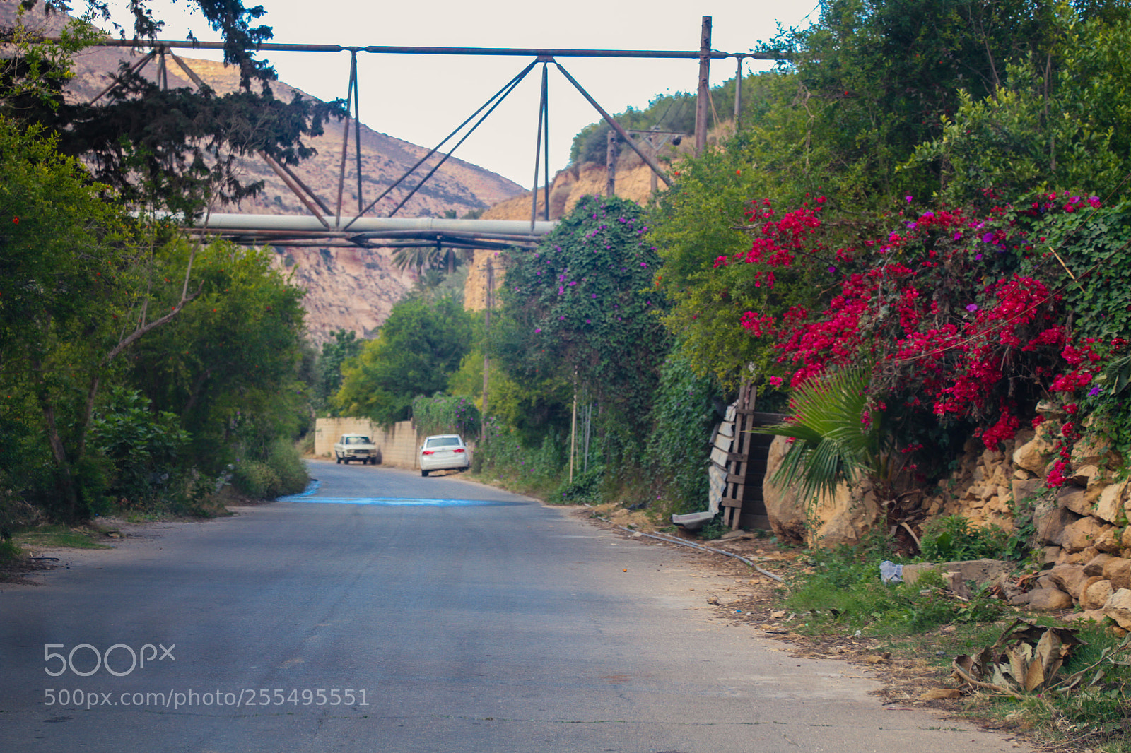 Canon EOS 7D sample photo. The spring photography