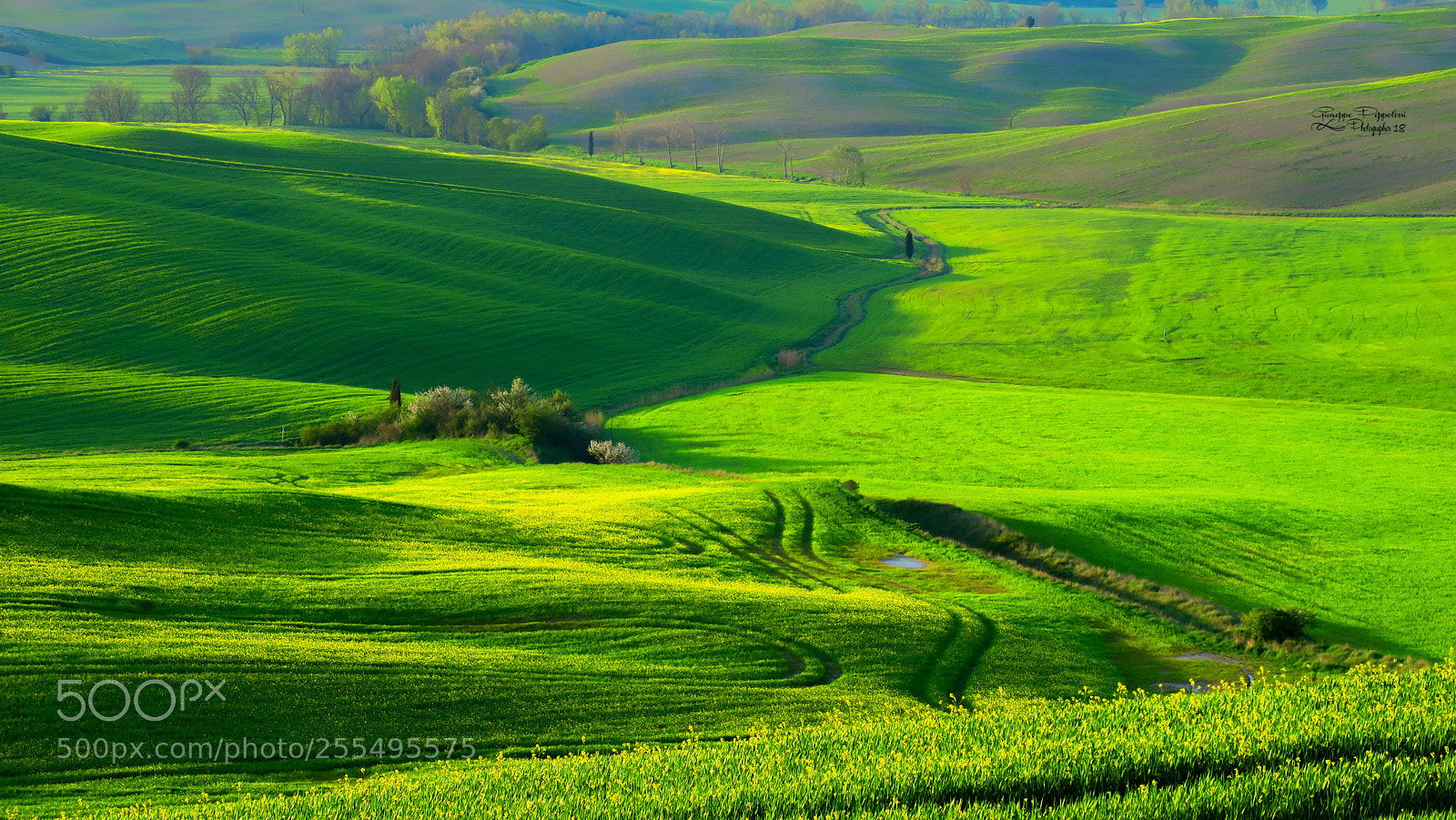 Canon PowerShot G3 X sample photo. Tuscany photography