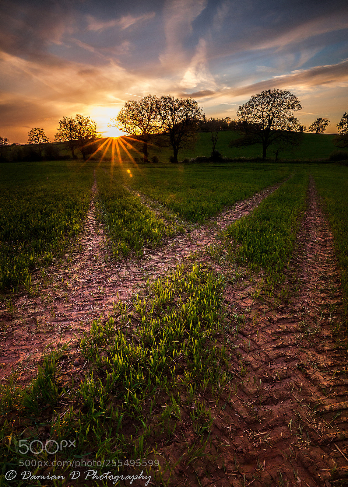 Canon EOS 5D Mark II sample photo. Field photography