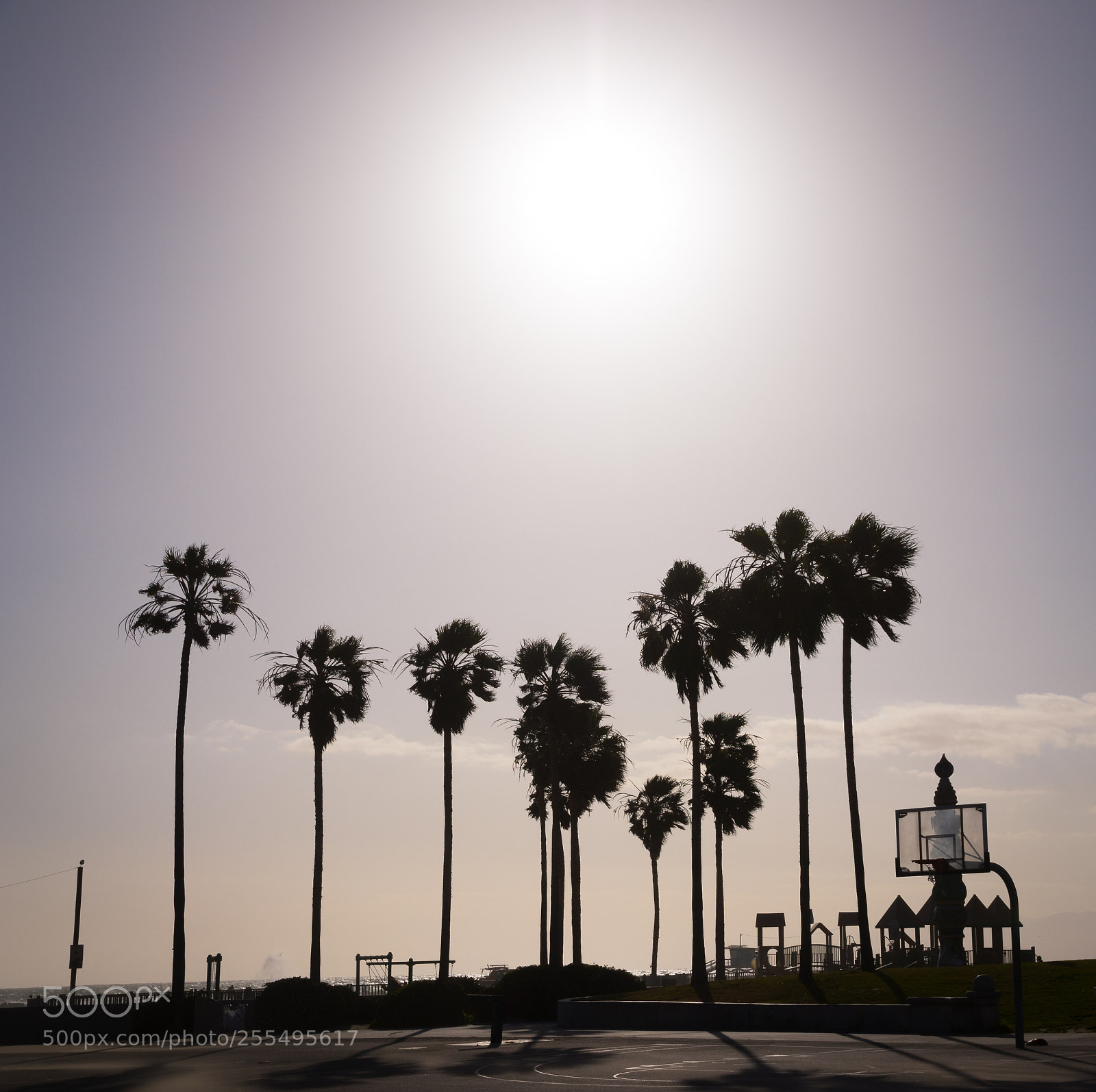 Canon EOS 80D sample photo. Venice beach photography