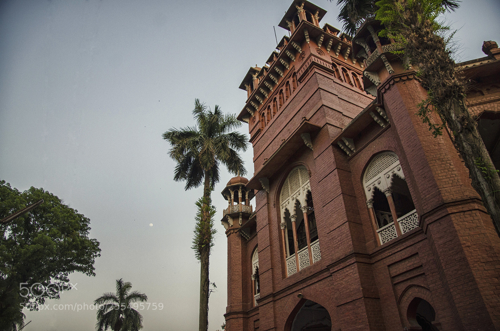 Nikon D7000 sample photo. Curzon hall photography