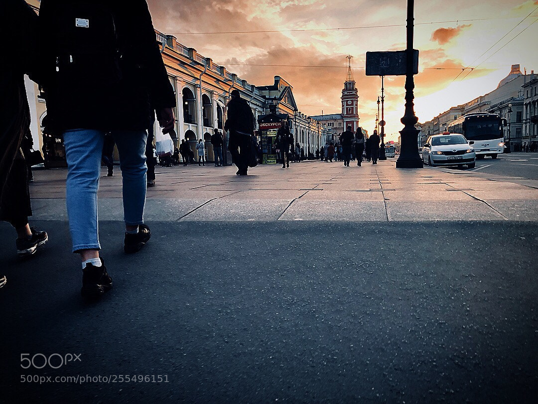 Apple iPhone 8 Plus sample photo. Untitled photography