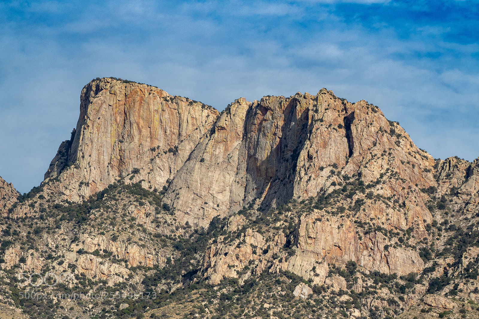 Olympus OM-D E-M5 II sample photo. Santa catalina mountains photography