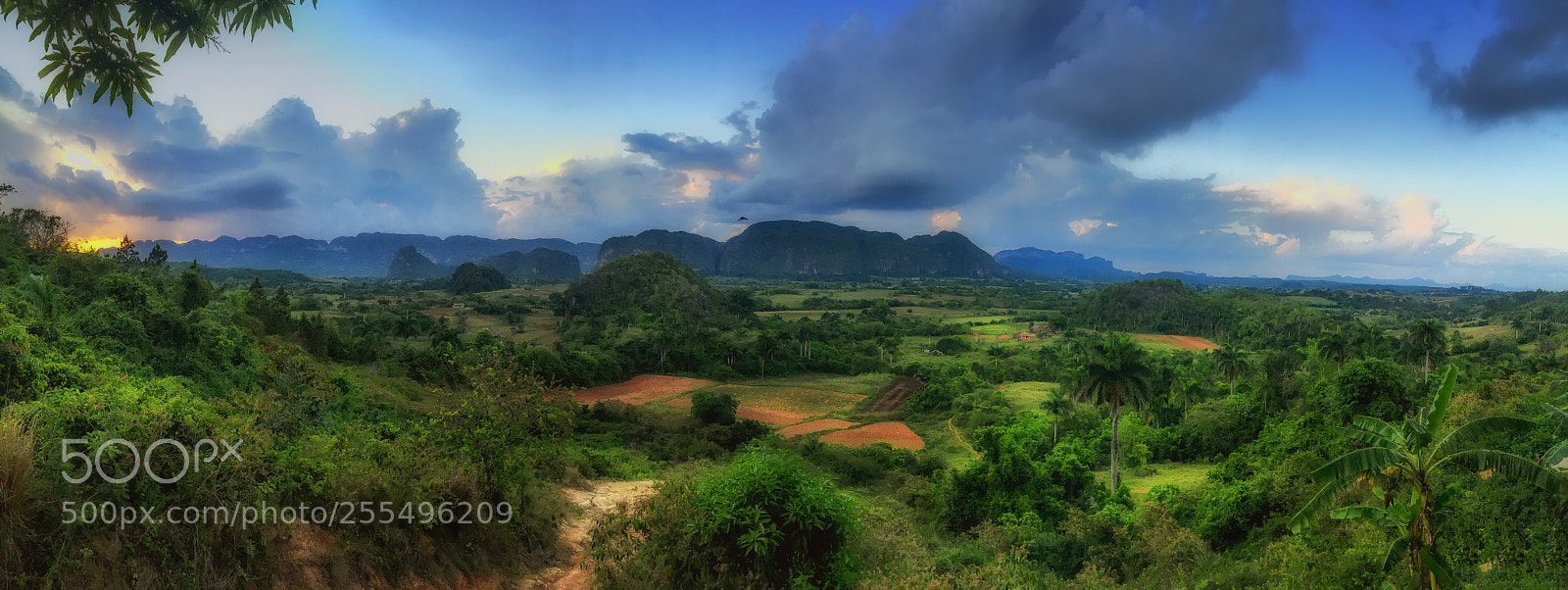 Apple iPhone 6 sample photo. Cuba valle viñales photography