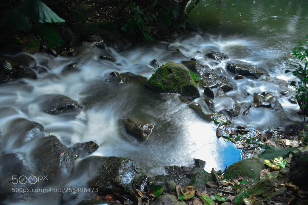 Nikon D3400 sample photo. Cascada photography
