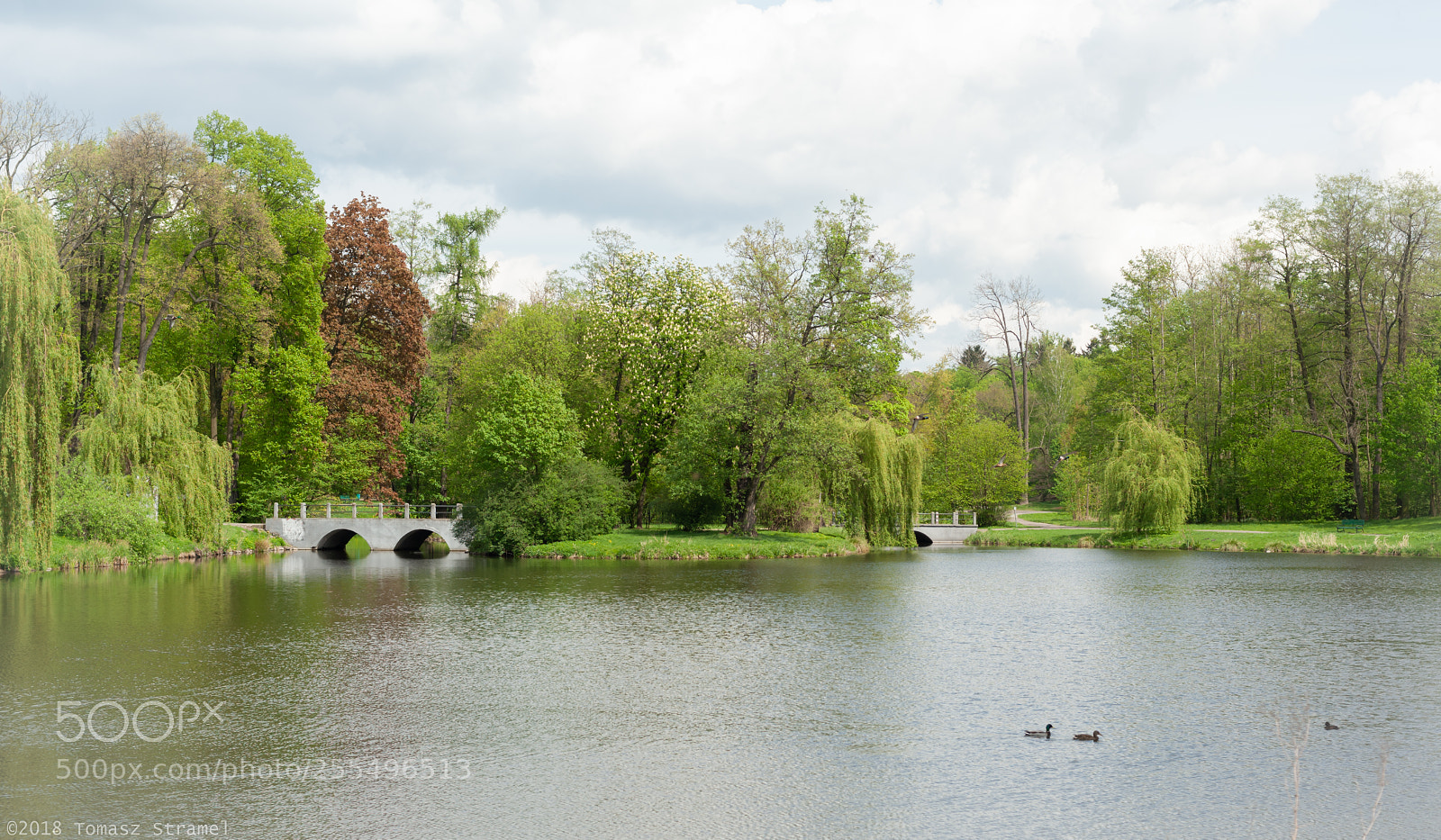 Nikon D700 sample photo. The simple joys of photography