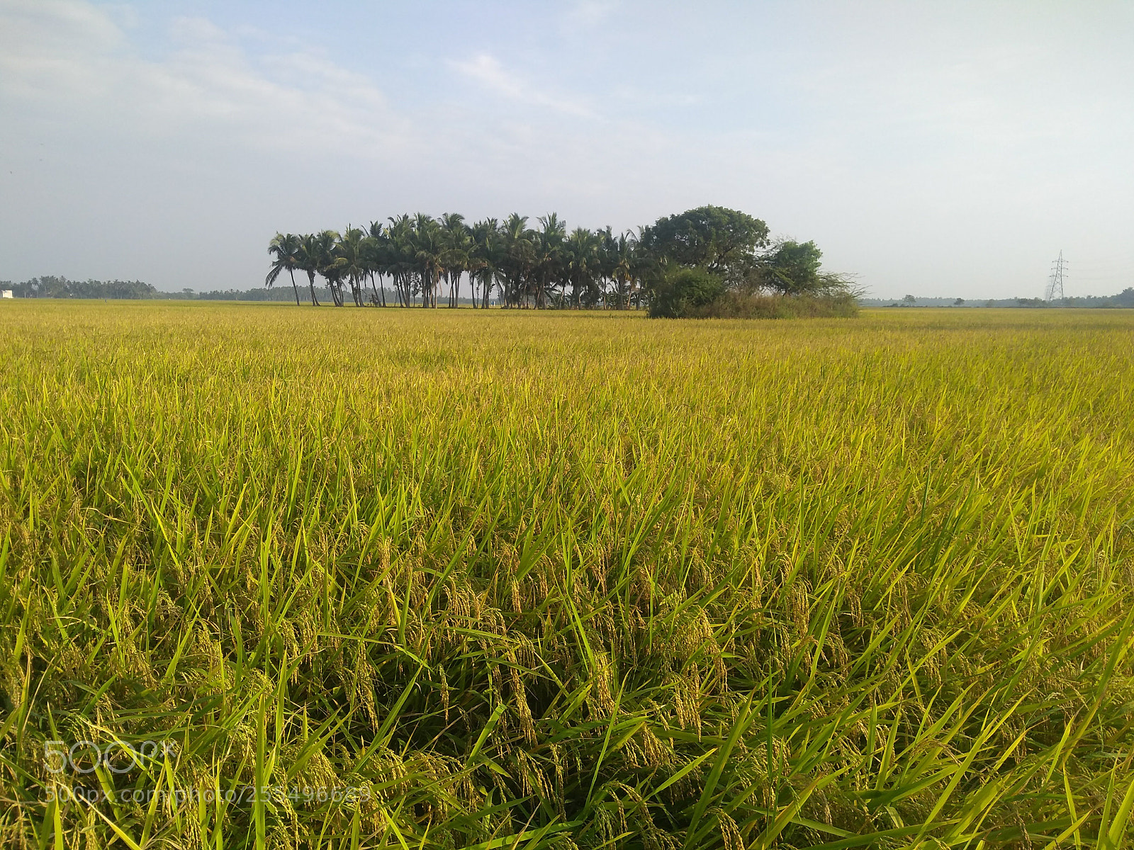 Motorola Moto G (5S) Plus sample photo. Untitled photography