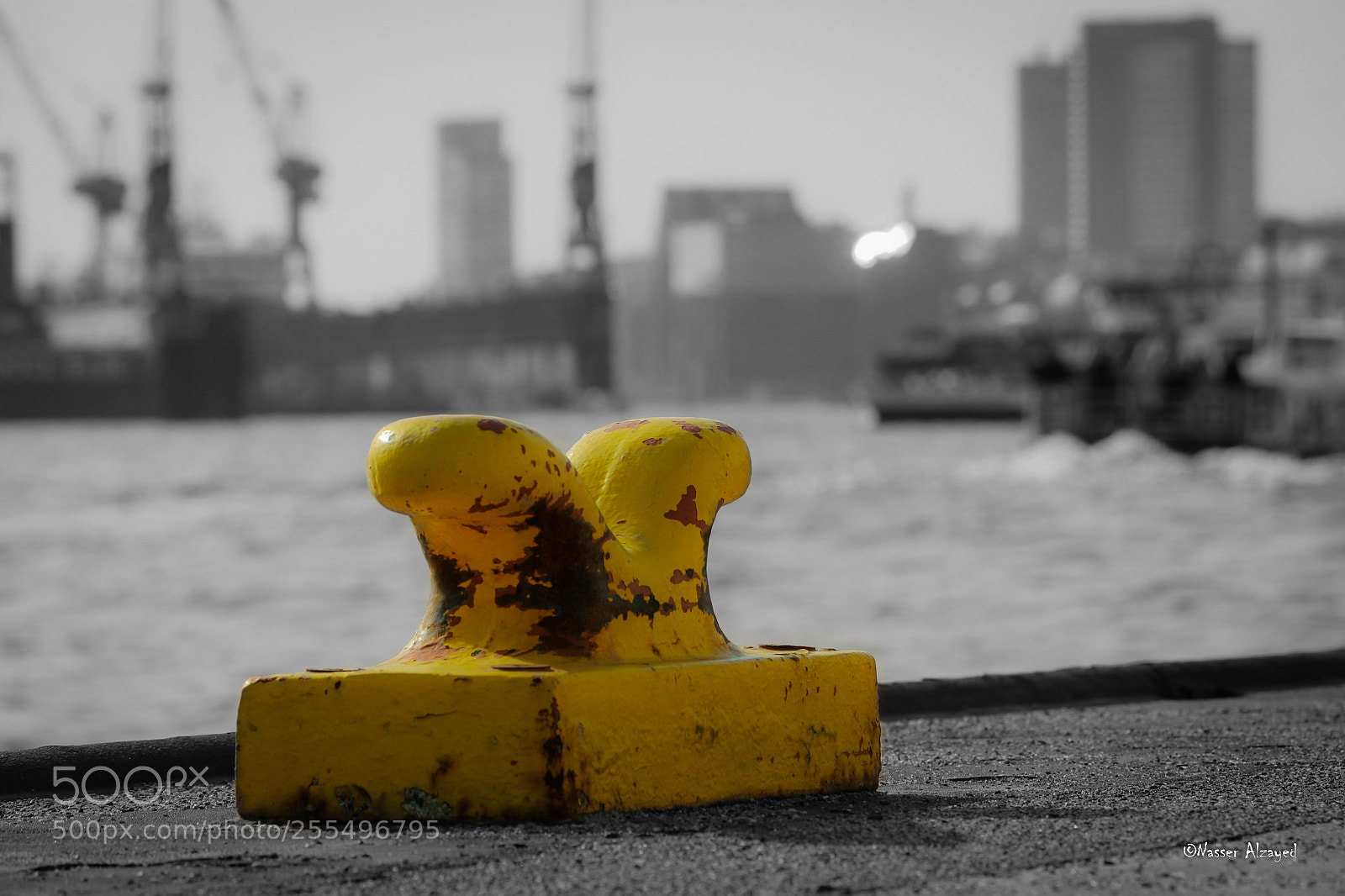 Canon EOS 70D sample photo. Der poller photography