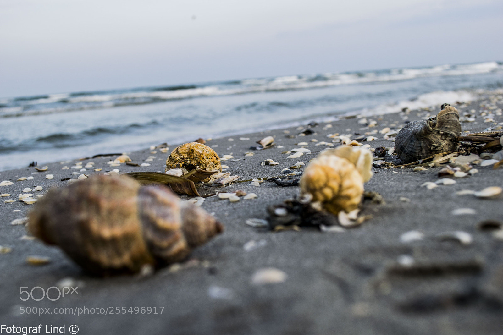 Nikon D5300 sample photo. Beach photography