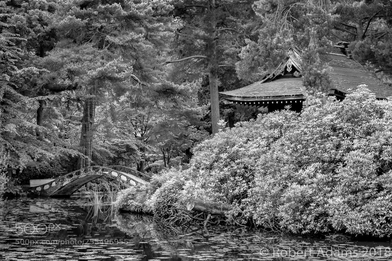 Fujifilm X-T2 sample photo. Tatten park (2) photography