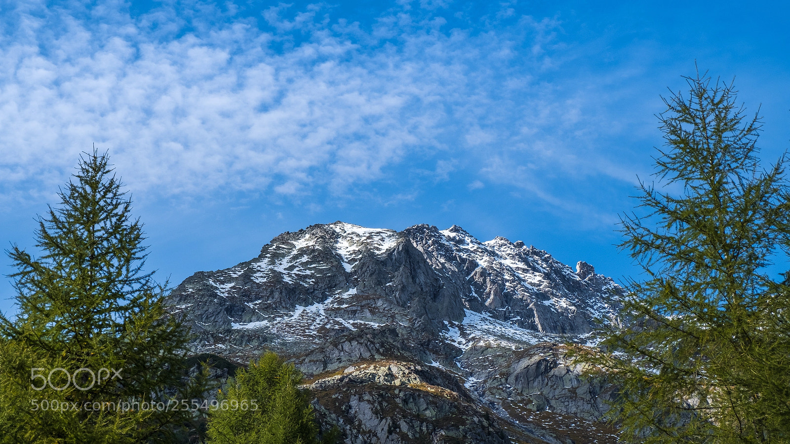 Fujifilm X-T20 sample photo. Huehnerspiel photography