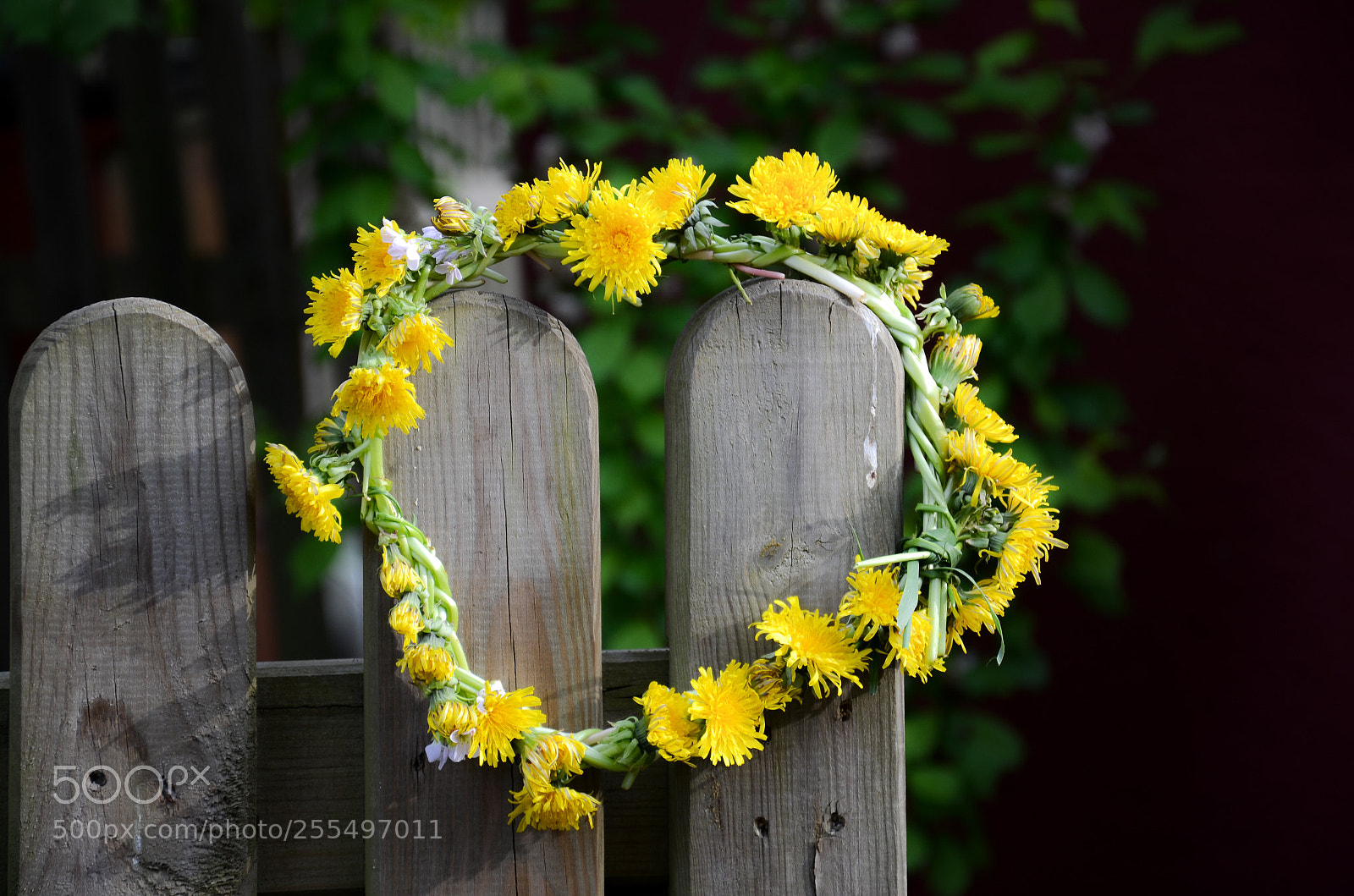 Nikon D7000 sample photo. Flower wreath photography