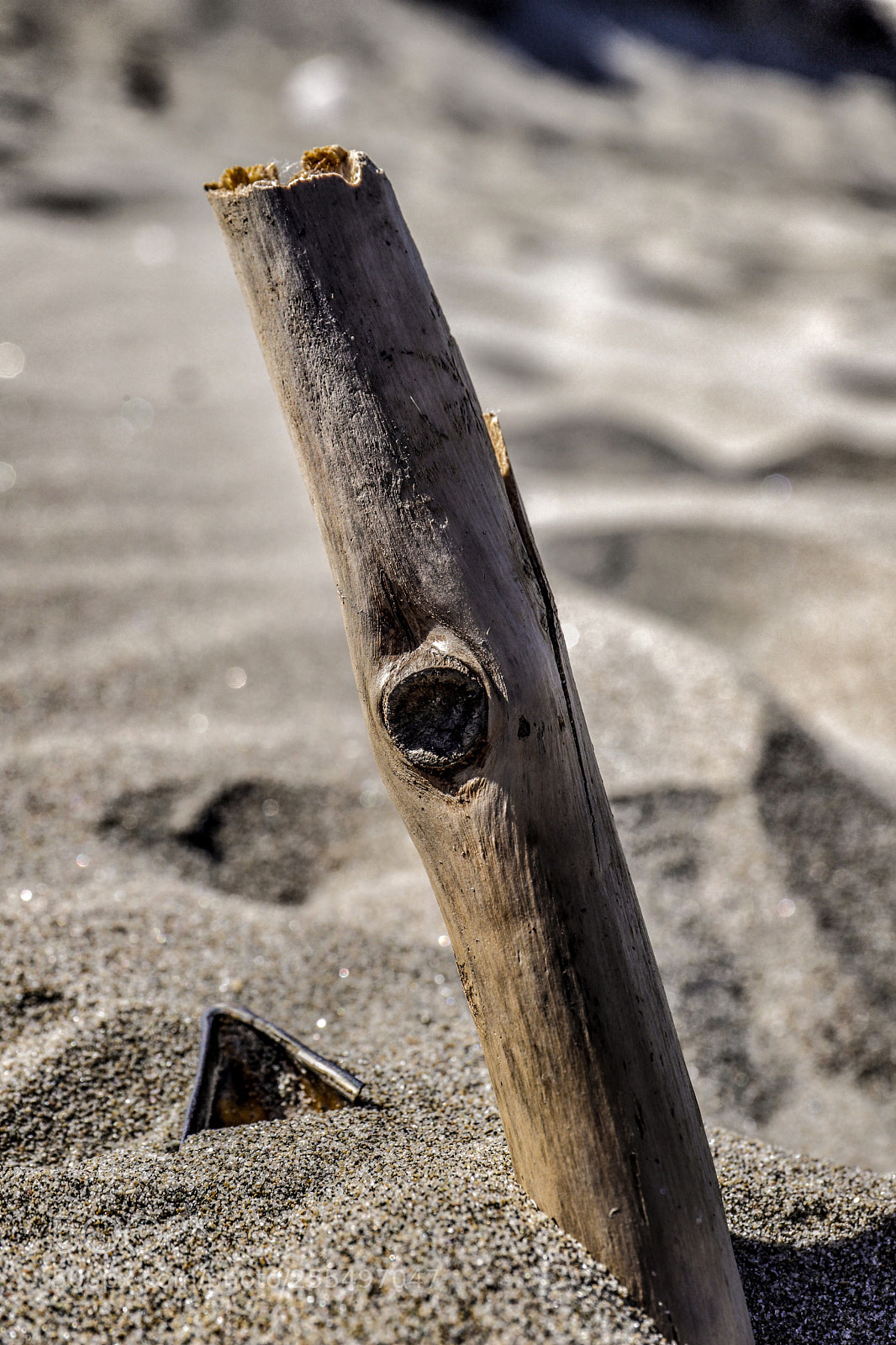 Canon EOS 6D Mark II sample photo. Nature photography