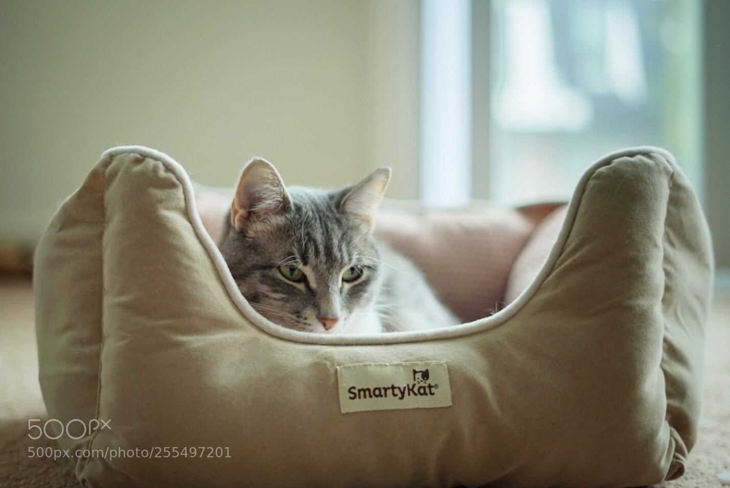 Sony a7 II sample photo. Rest photography