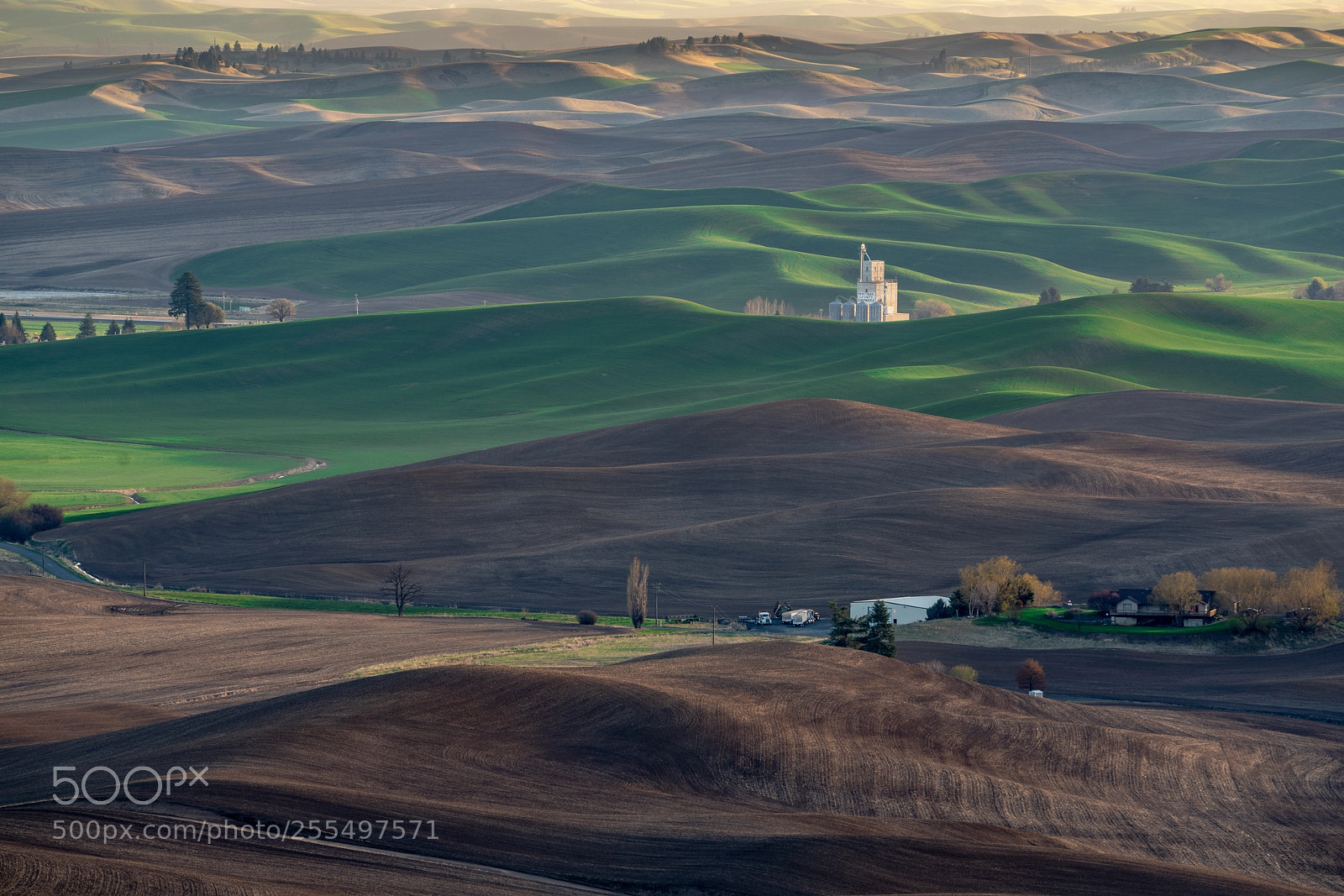 Sony a7R III sample photo. Palouse sunset photography