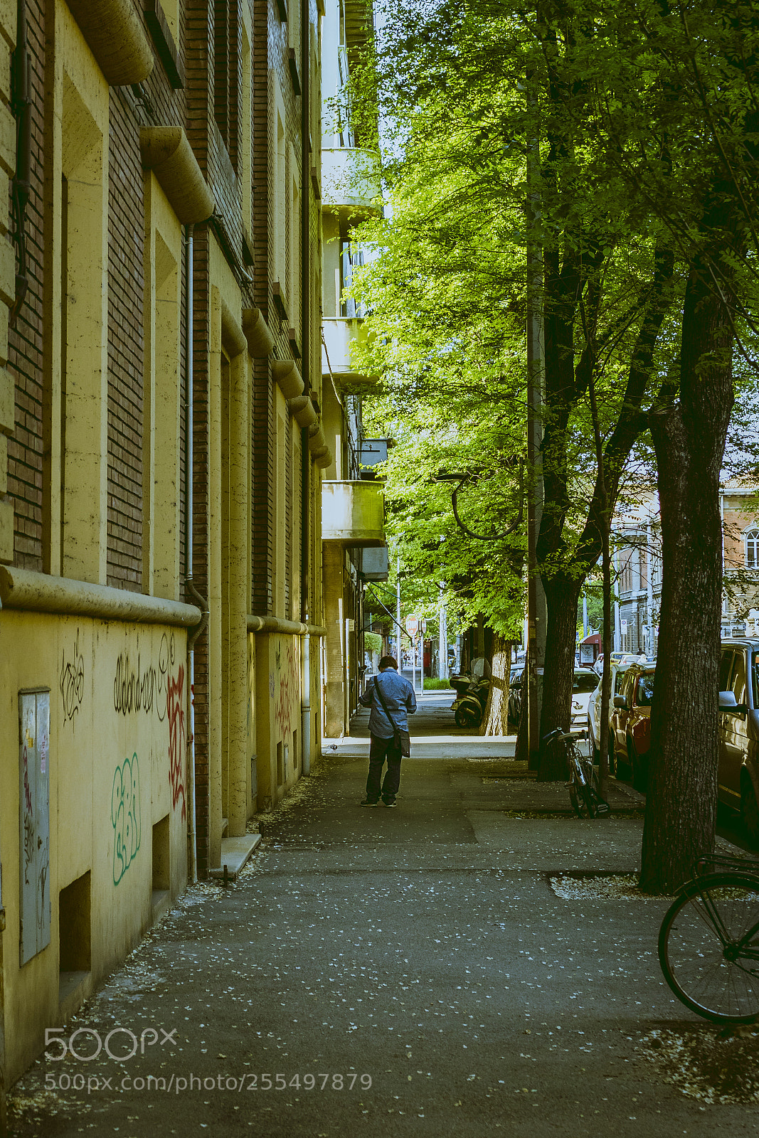 Canon EOS 80D sample photo. Walkway of bologna photography