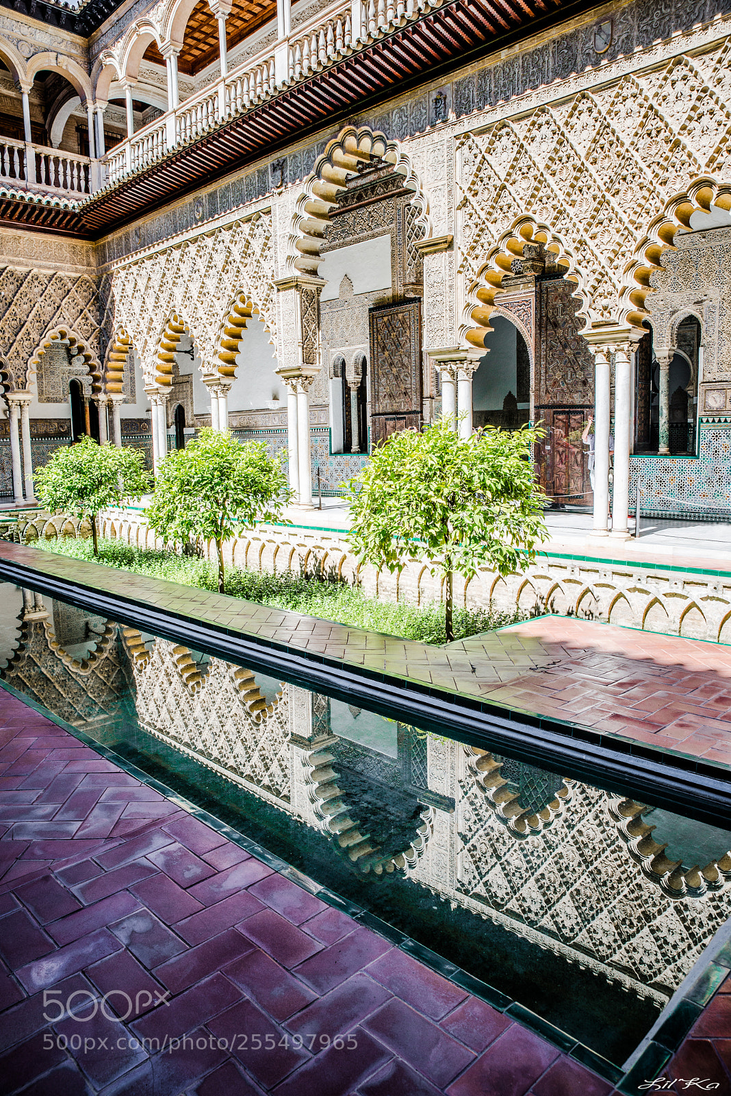 Nikon D610 sample photo. Alcazar photography