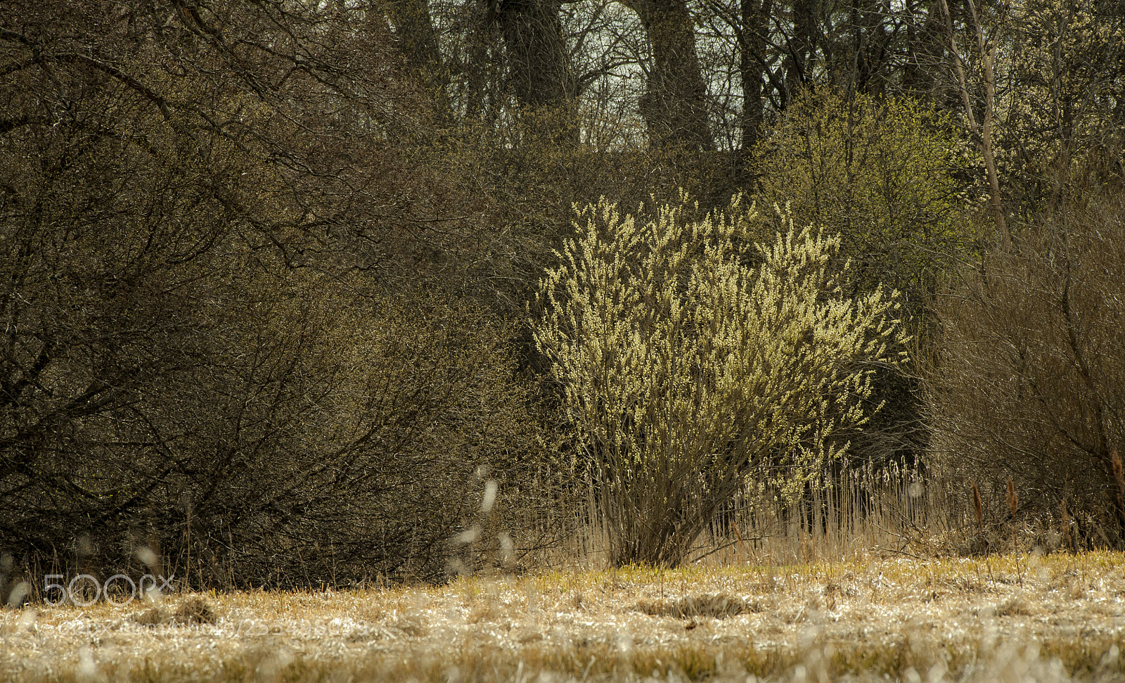 Nikon D700 sample photo. There is a color photography