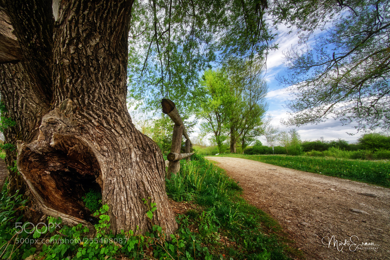 Sony a7R II sample photo. The path photography