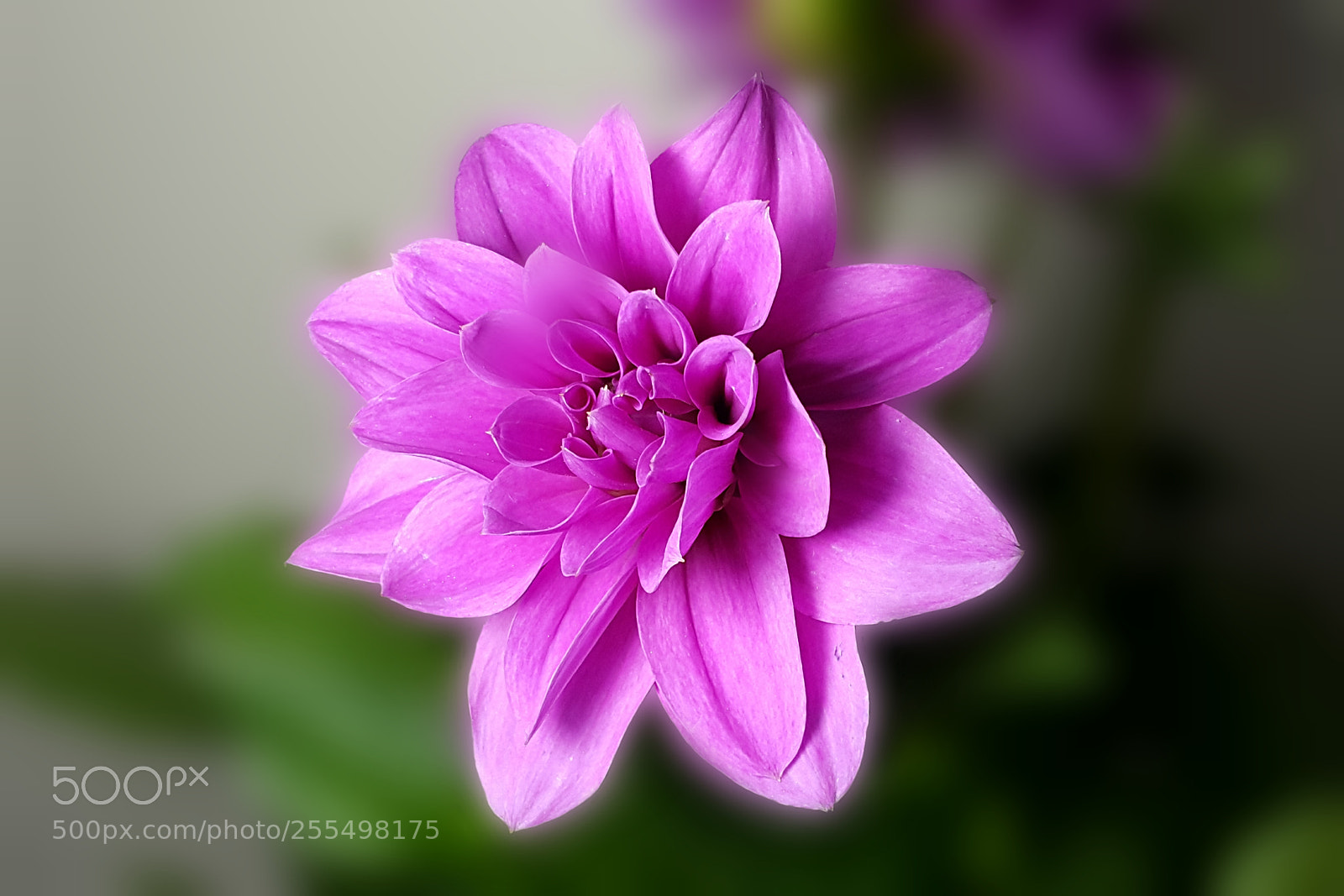 Samsung Galaxy Note4 sample photo. 297 photography