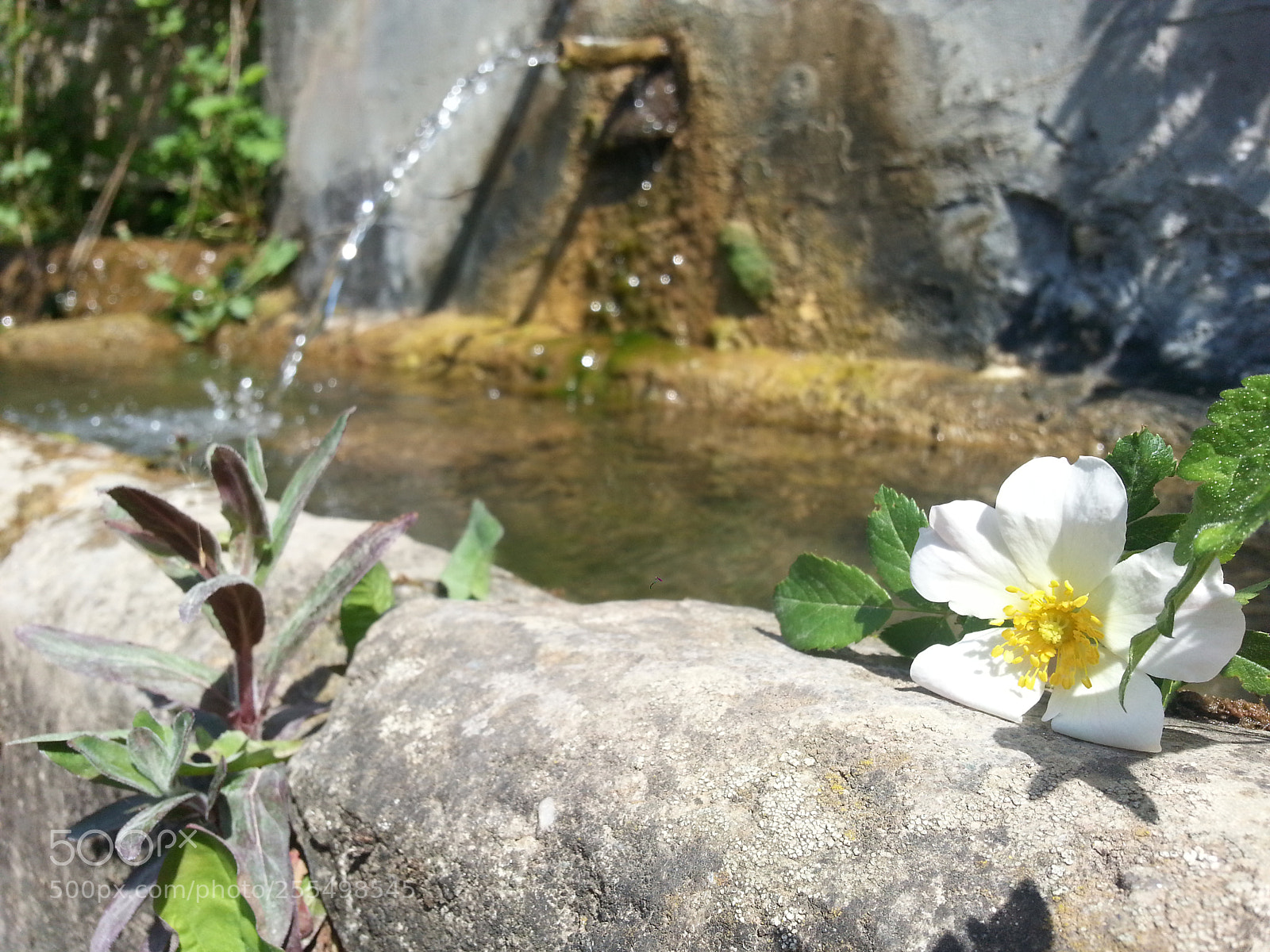 Samsung Galaxy S3 sample photo. Niška banja, koritnjak photography