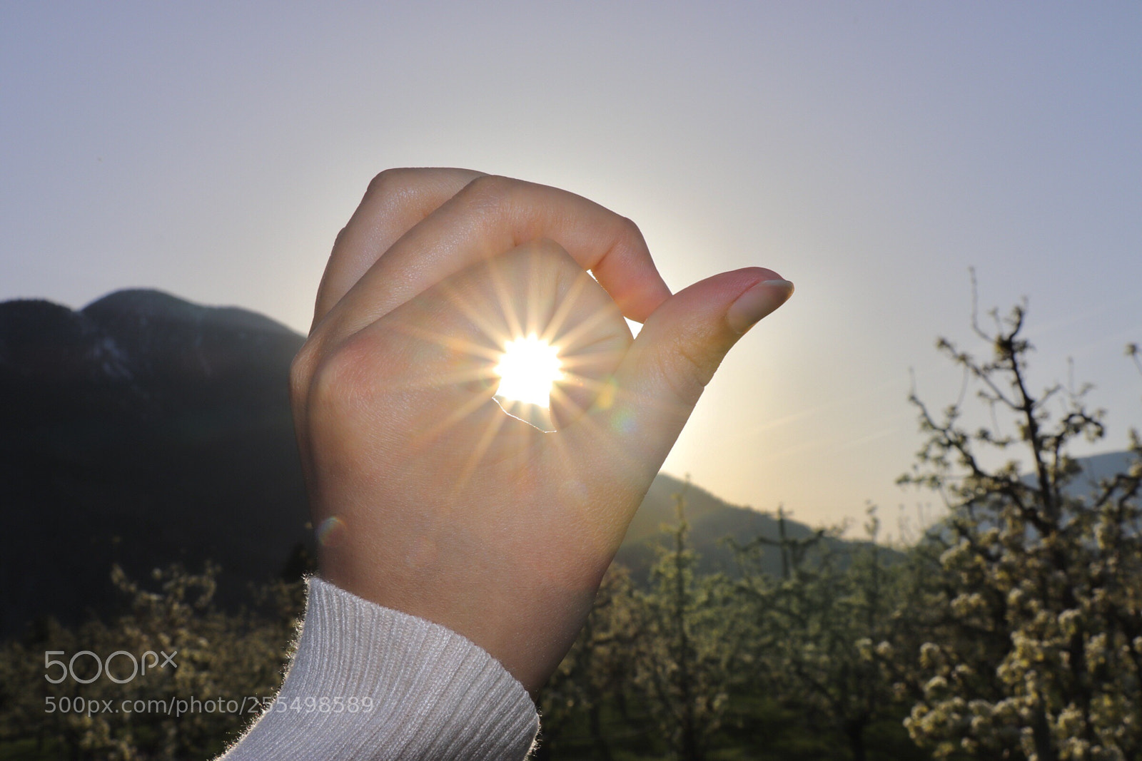 Canon EOS 800D (EOS Rebel T7i / EOS Kiss X9i) sample photo. Spring sun  photography