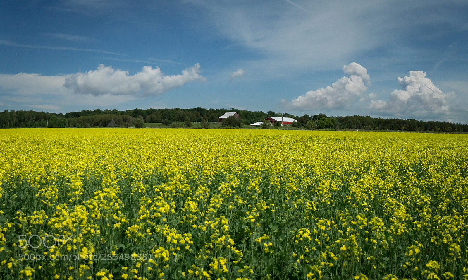 Sony a6000 sample photo. Farm photography
